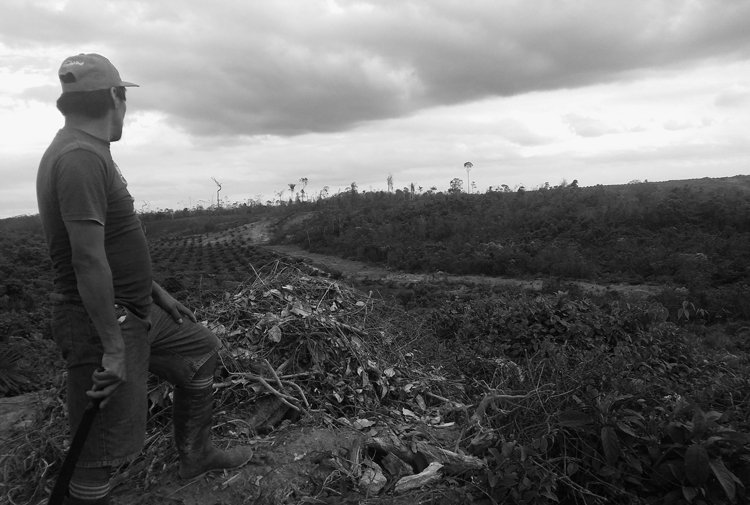 Peru’da Toprakları için Direnen Köylüler Katledildi