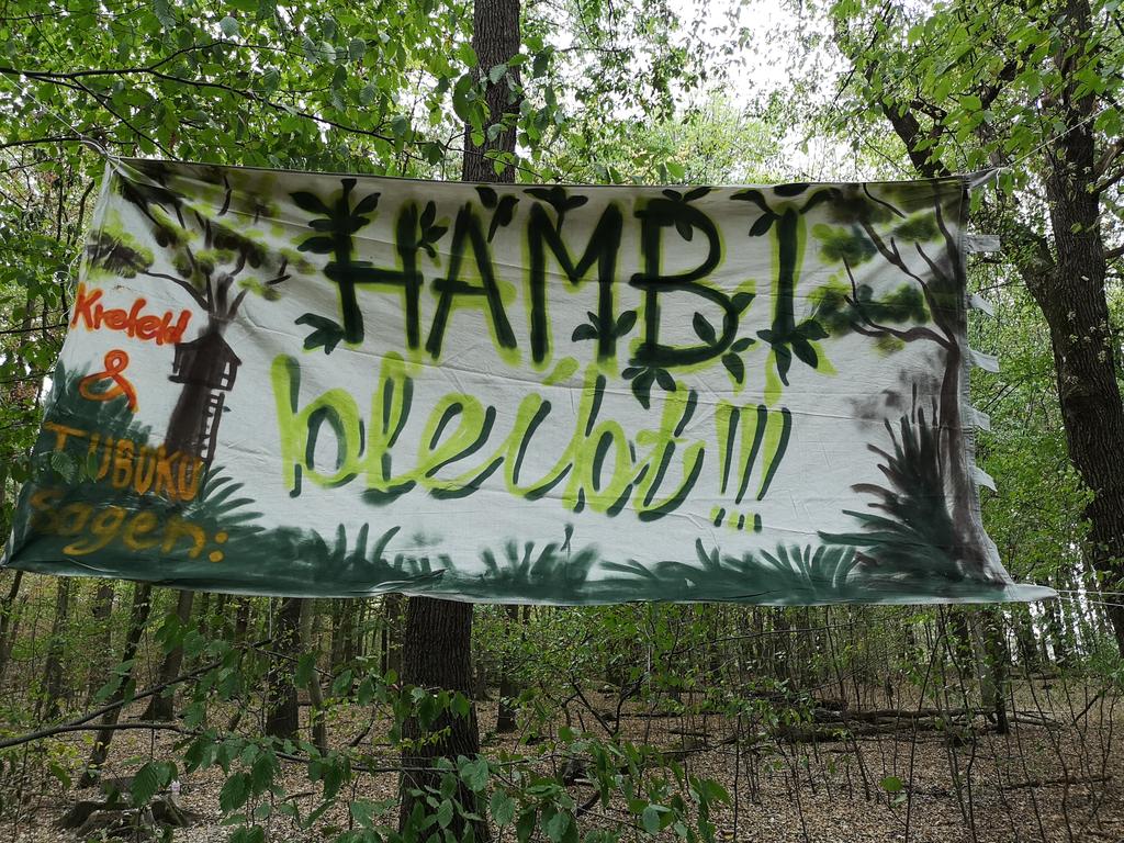 KOS Hambach Ormanı direnişiyle dayanışmak için eylem çağrısı yaptı