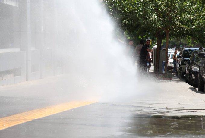 Diyarbakır, Mardin ve Van belediyelerine kayyum atanmasına karşı eylemler