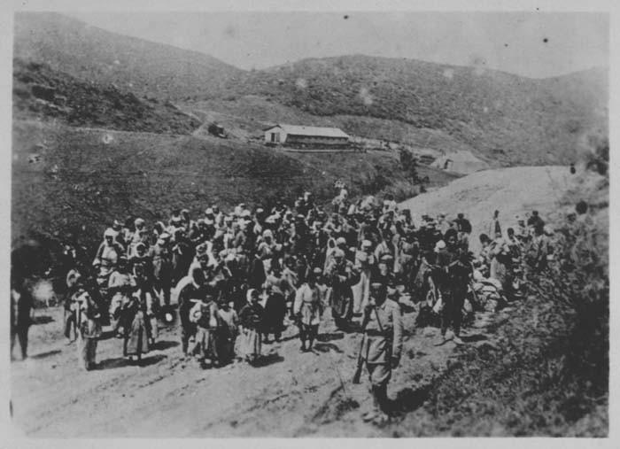 Ermeni Soykırımı (1915–16): Genel Bakış